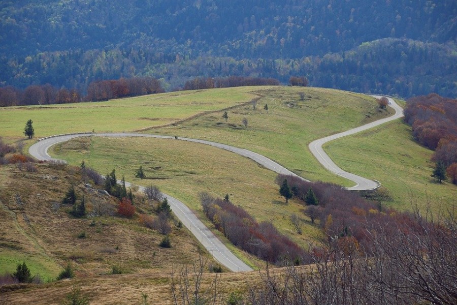 Organiser un séminaire team building dans les Vosges